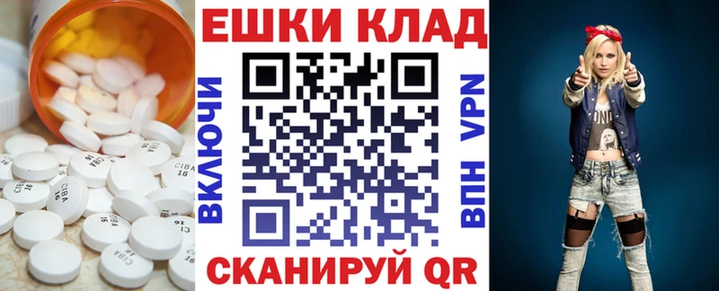 Ecstasy Philipp Plein  Купить  Заинск 