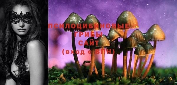 марки lsd Каменка